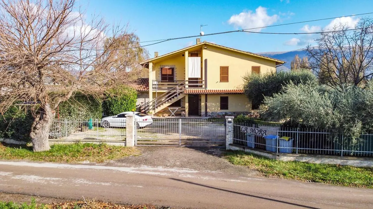 Alloggio per agriturismo Agriturismo La Mora - Bilancia Assisi Italia